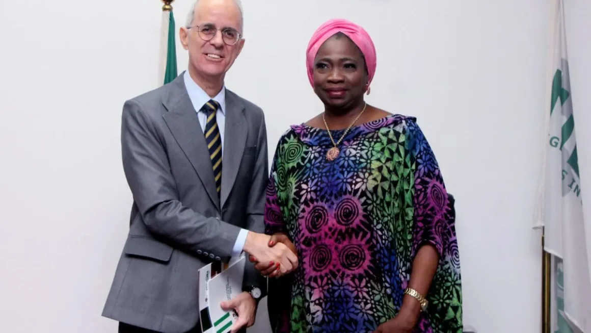 Envoy: Turkey seeks Partnership with NiDCOM on diaspora engagement