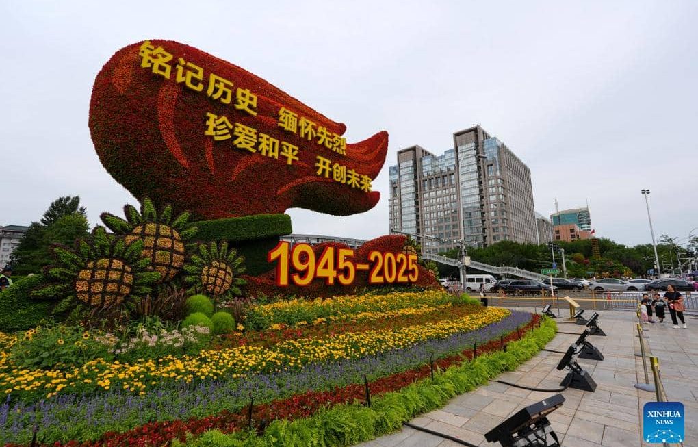 The World Must Learn from WWII, Says Chinese Scholar